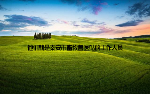 他们就是泰安市畜牧兽医站的工作人员