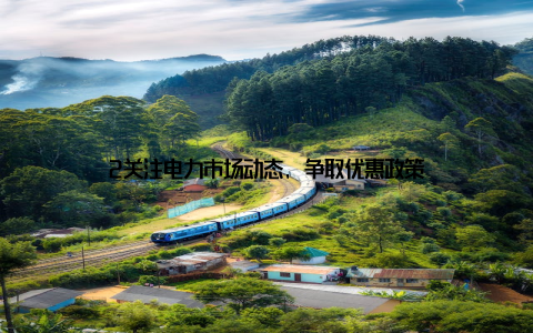 2关注电力市场动态, 争取优惠政策