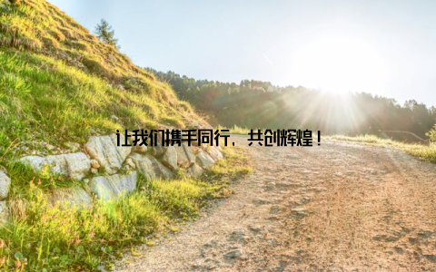 让我们携手同行, 共创辉煌!