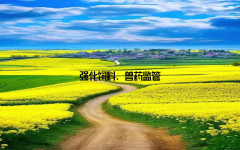 强化饲料、兽药监管