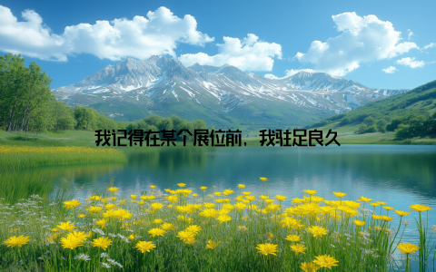 我记得在某个展位前, 我驻足良久