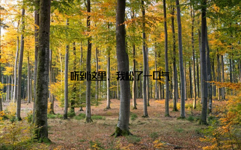 听到这里, 我松了一口气