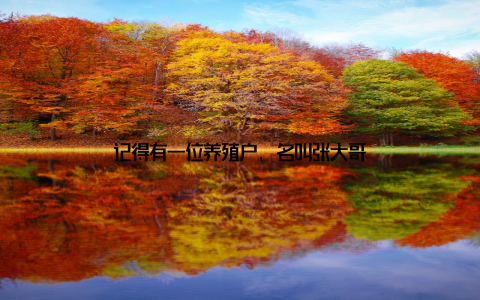 记得有一位养殖户, 名叫张大哥