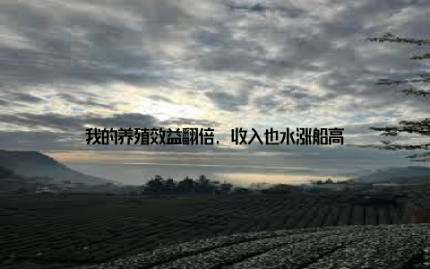 我的养殖效益翻倍, 收入也水涨船高