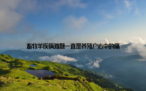 畜牧羊疾病难题一直是养殖户心中的痛