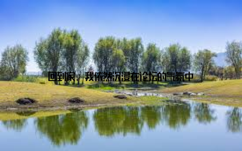 回到家, 我依然沉浸在论坛的气氛中