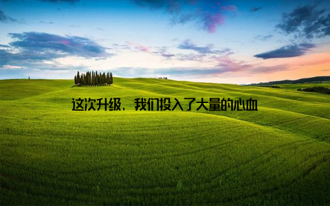 这次升级, 我们投入了大量的心血