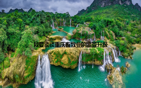 我要谈谈重庆畜牧业的监管升级