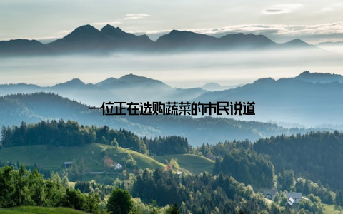 一位正在选购蔬菜的市民说道