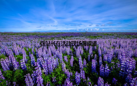 张站长在活动现场强调道