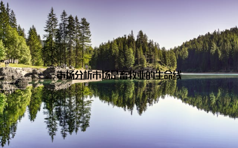 市场分析市场是畜牧业的生命线