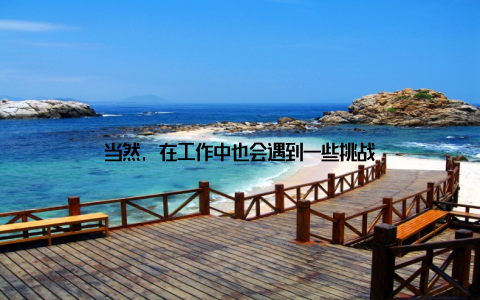 当然, 在工作中也会遇到一些挑战