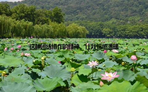 这种团结协作的精神, 让我倍感温暖