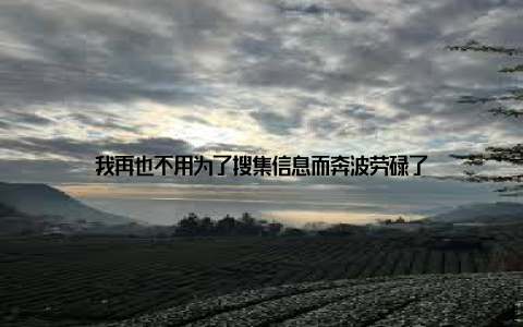 我再也不用为了搜集信息而奔波劳碌了