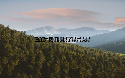 政策为我们提供了技术支持