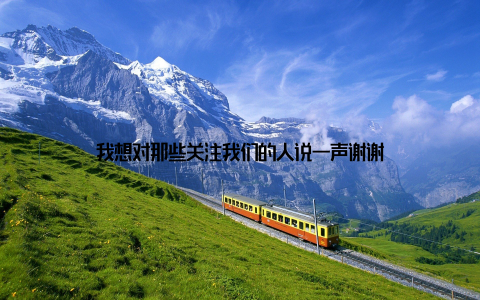 我想对那些关注我们的人说一声谢谢