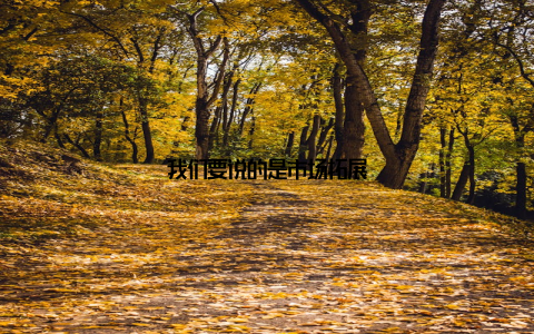 我们要说的是市场拓展