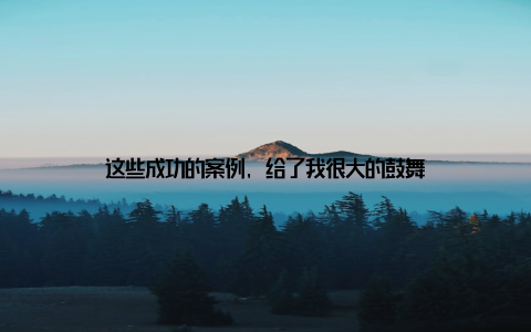 这些成功的案例, 给了我很大的鼓舞