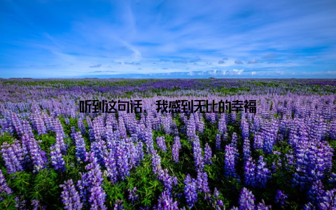 听到这句话, 我感到无比的幸福