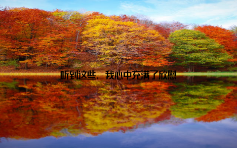 听到这些, 我心中充满了欣慰