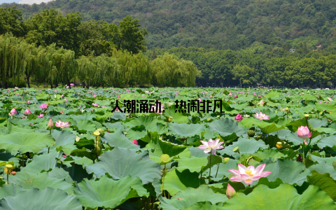 人潮涌动, 热闹非凡