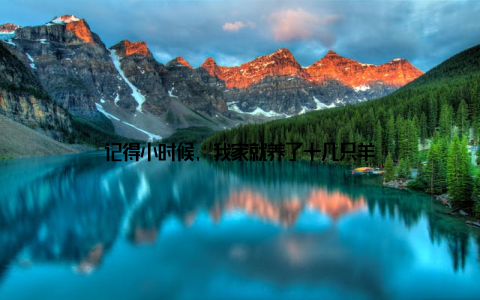 记得小时候, 我家就养了十几只羊