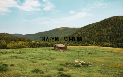 时光荏苒, 岁月如梭