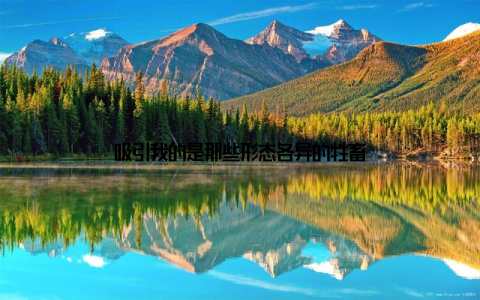 吸引我的是那些形态各异的牲畜