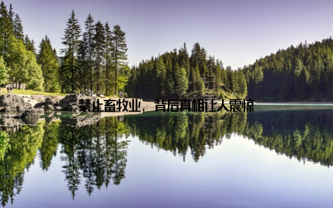 禁止畜牧业, 背后真相让人震惊