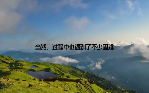 当然, 过程中也遇到了不少困难