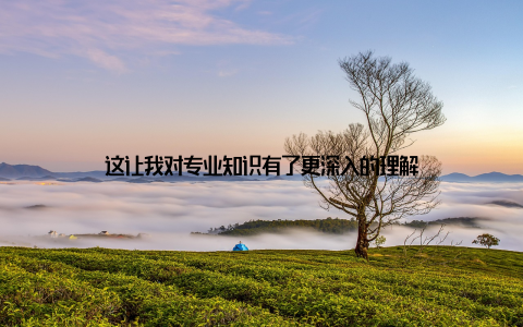 这让我对专业知识有了更深入的理解