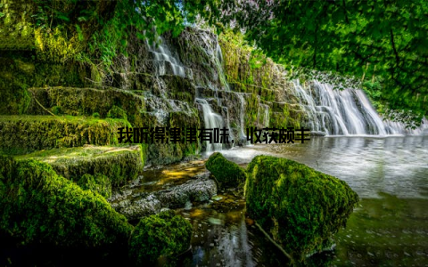 我听得津津有味, 收获颇丰