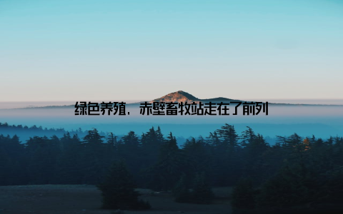 绿色养殖, 赤壁畜牧站走在了前列