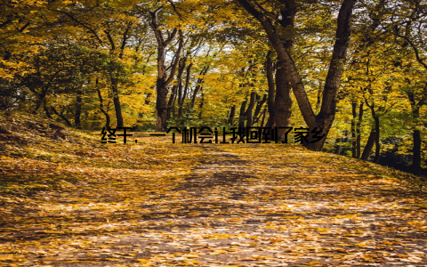 终于, 一个机会让我回到了家乡