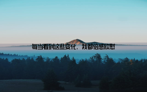 每当看到这些变化, 我都倍感欣慰