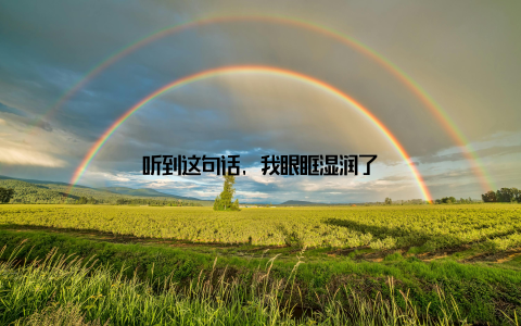 听到这句话, 我眼眶湿润了