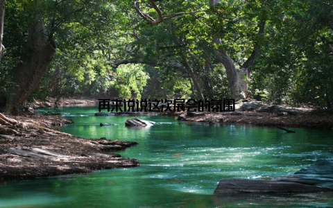 再来说说这次展会的氛围