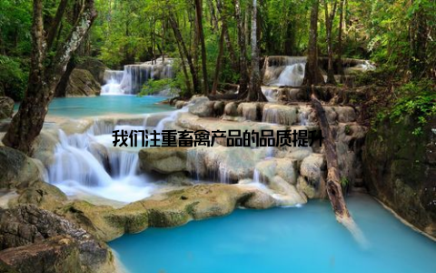 我们注重畜禽产品的品质提升