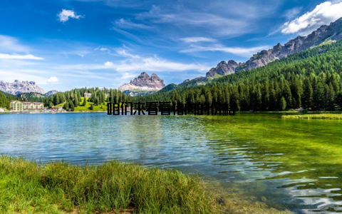 咱们来看看猪肉的价格