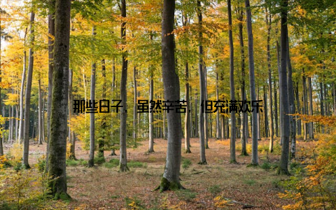 那些日子, 虽然辛苦, 但充满欢乐