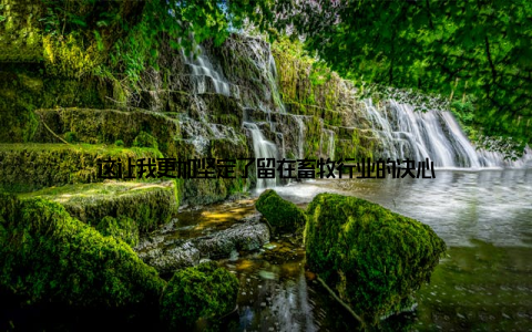 这让我更加坚定了留在畜牧行业的决心