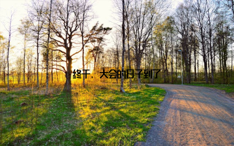 终于, 大会的日子到了