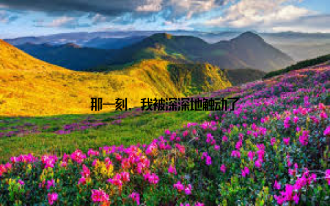 那一刻, 我被深深地触动了