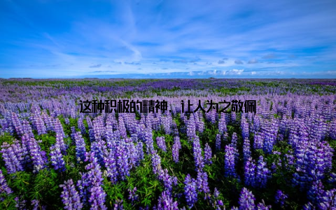 这种积极的精神, 让人为之敬佩