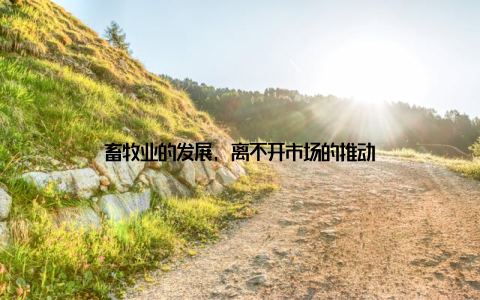 畜牧业的发展, 离不开市场的推动