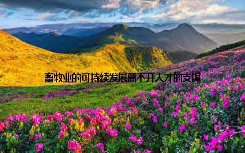 畜牧业的可持续发展离不开人才的支撑