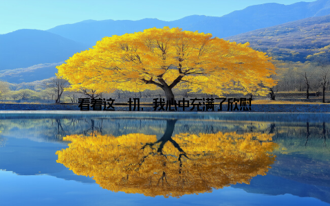 看着这一切, 我心中充满了欣慰