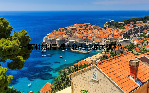 播种技术播种是畜牧草生长的关键环节