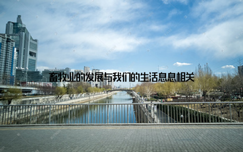 畜牧业的发展与我们的生活息息相关