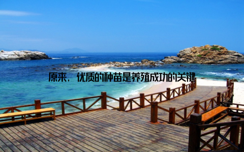 原来, 优质的种苗是养殖成功的关键